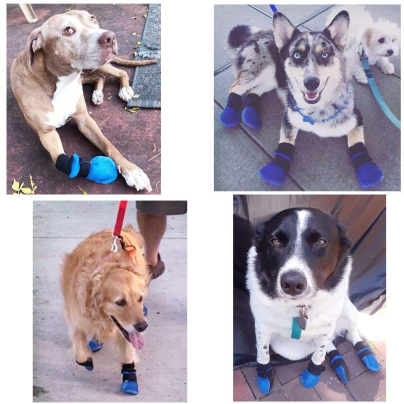 Dog Mesh Booties