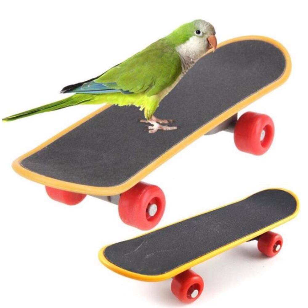 Hamiledyi Parrot Toys,Skateboard Toys,Stand Perch for Bird,Funny Training Perch Toy for Parakeet]