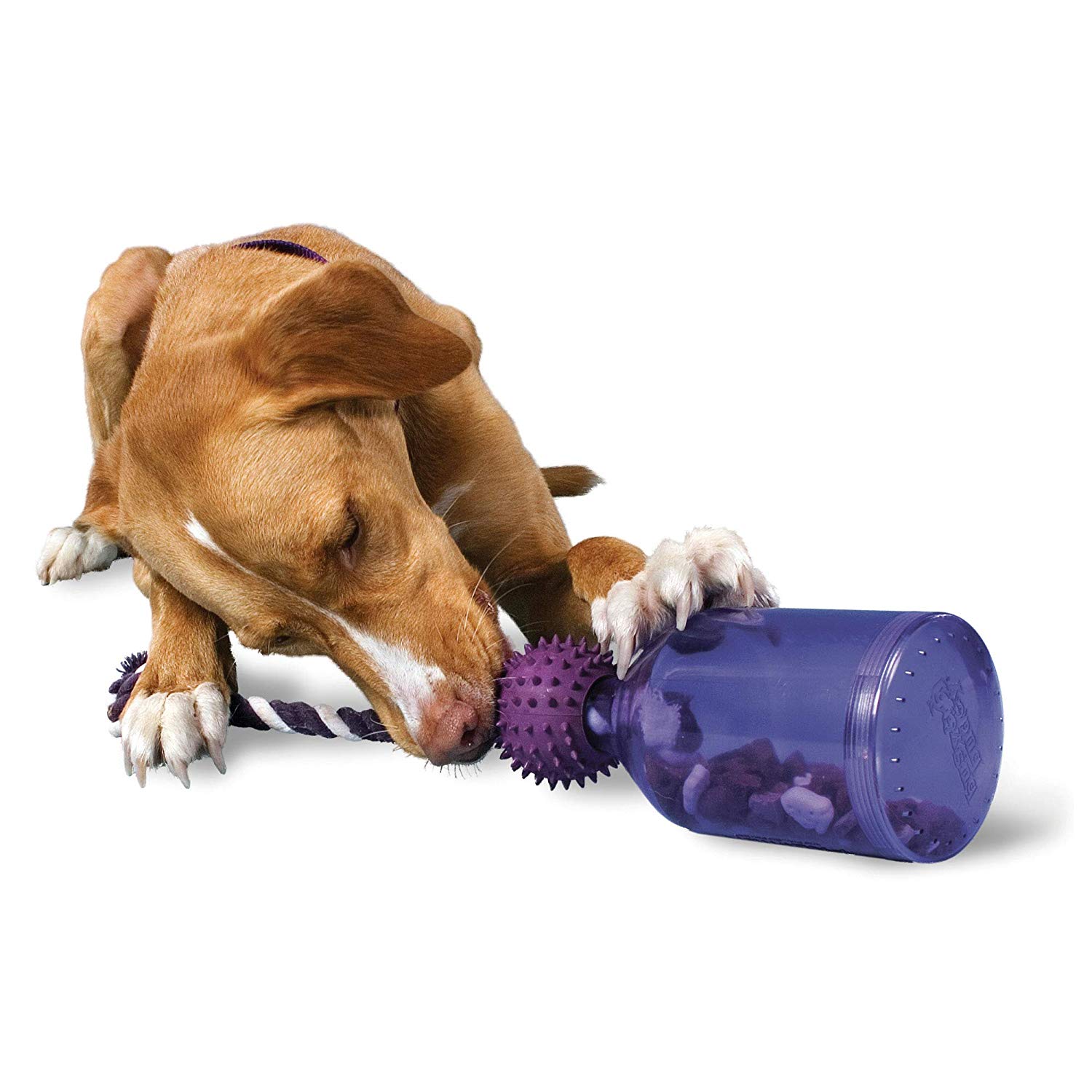 PetSafe Busy Buddy Tug-A-Jug Meal-Dispensing Dog Toy