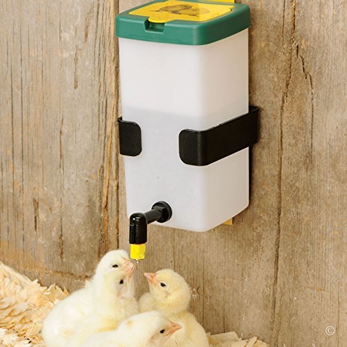 Premier Chick Waterer