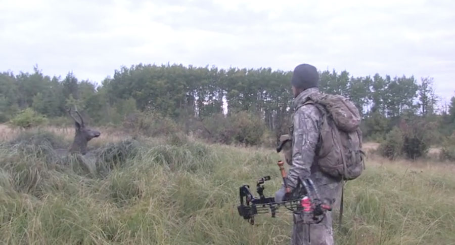 hunters rescue elk from mud