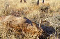 best solo hunting trips