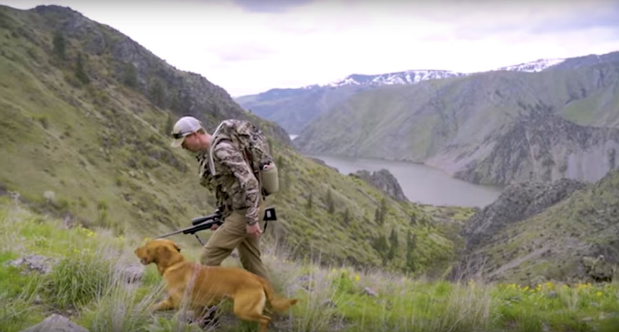 idaho black bear hunt