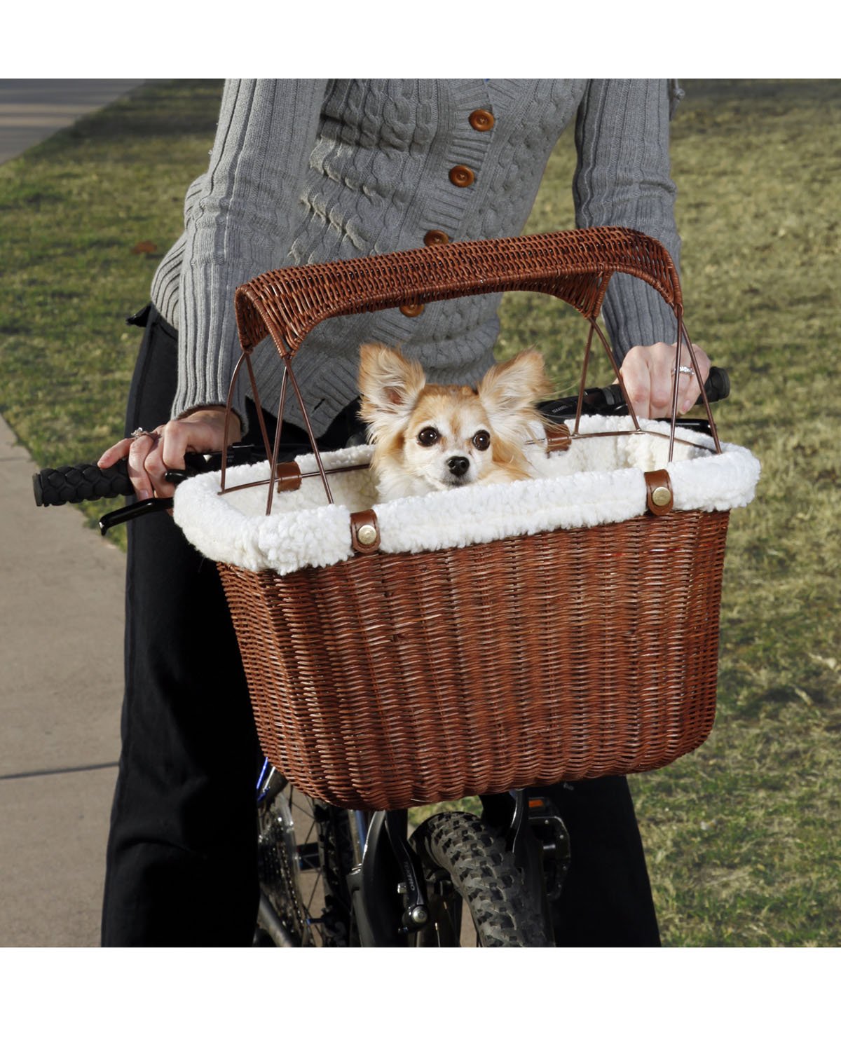 PetSafe Solvit Tagalong Wicker Bicycle Basket