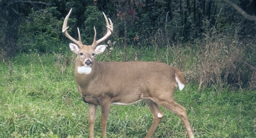 These Are The Big Updates To DeerCast That Drury Outdoors Just Released