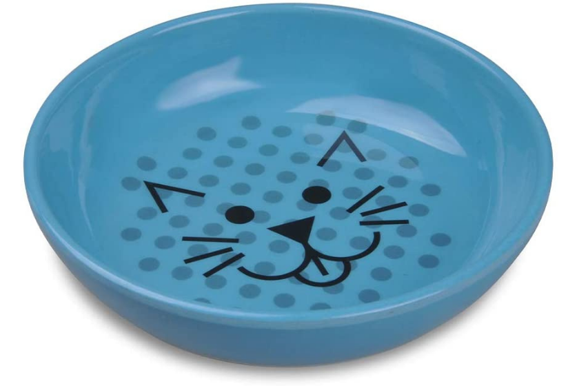 blue shallow water cat bowl