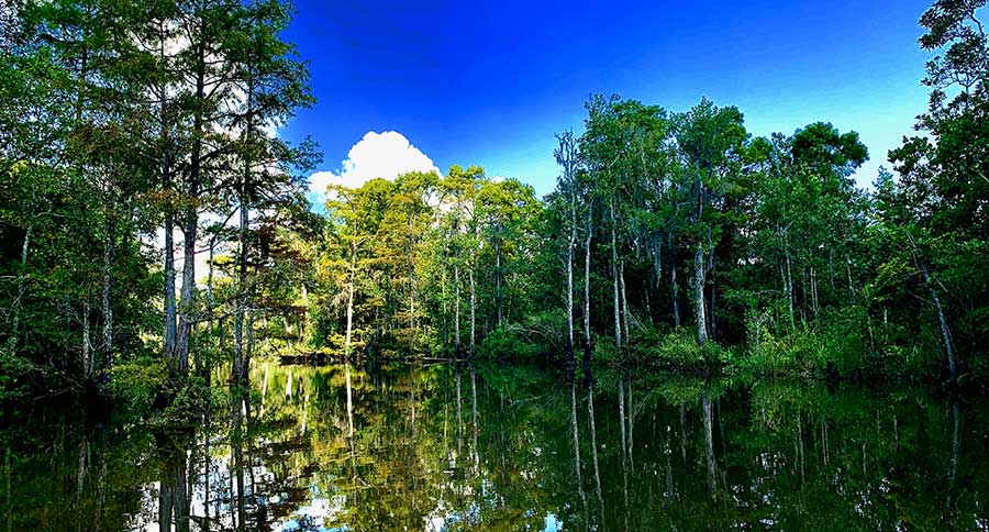 Coastal Mississippi