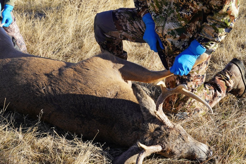 Deer Meat Guide All the Most Common Deer Cuts and Parts Wide Open Spaces