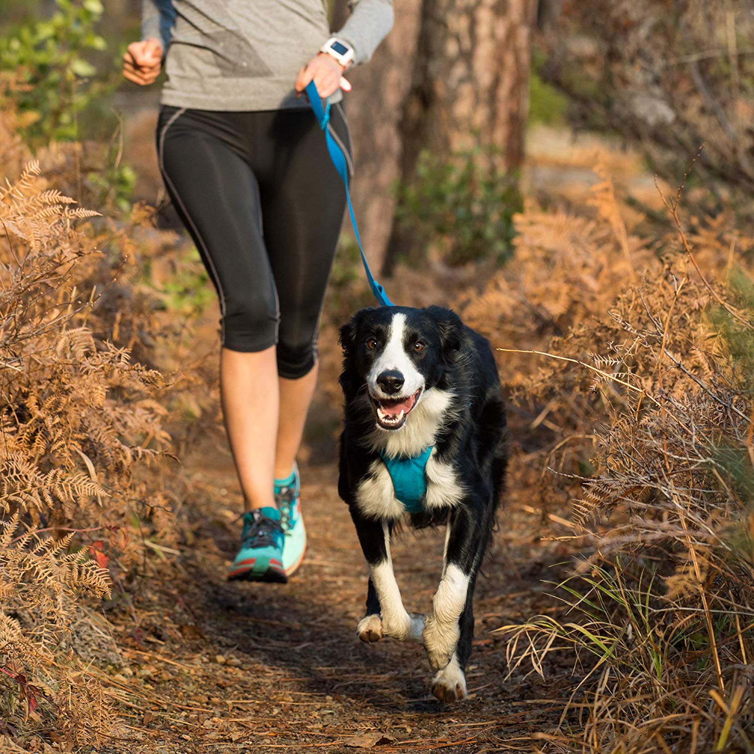 ruff wear leash