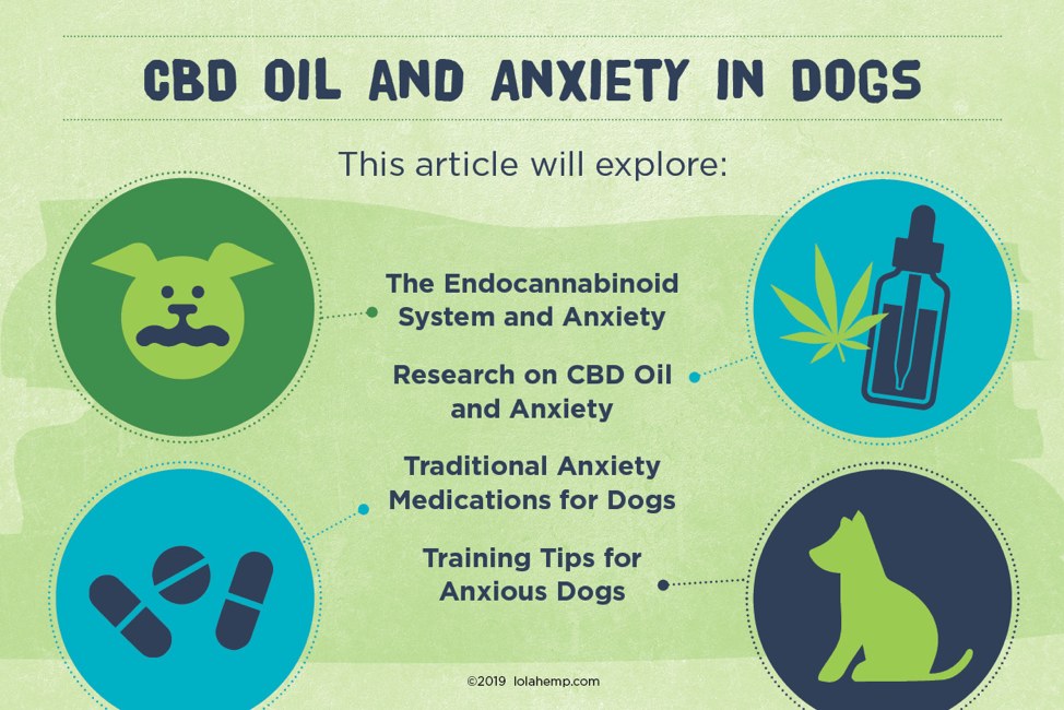 CBD Oil Anxiety