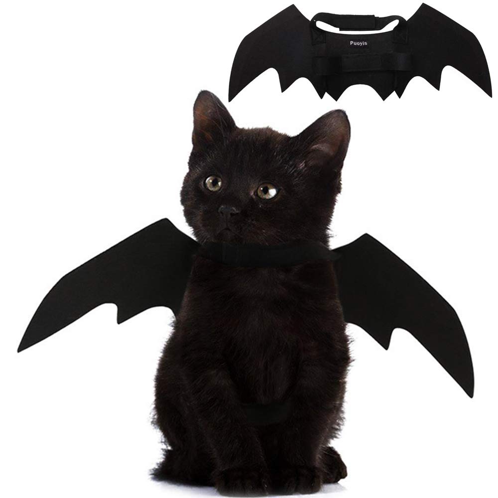 cat halloween costumes