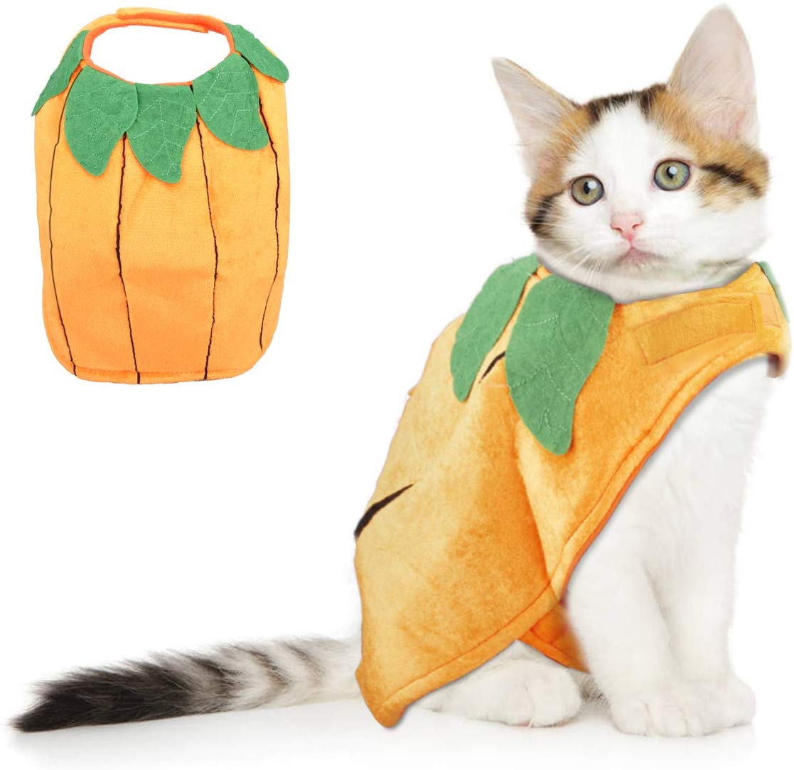 cat halloween costumes