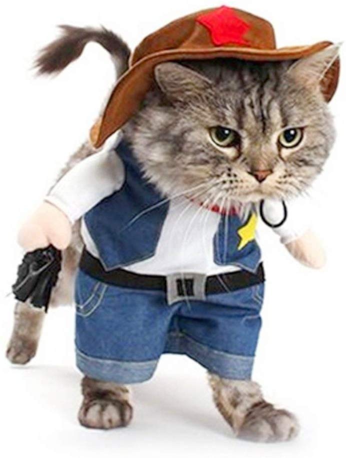 cat halloween costumes