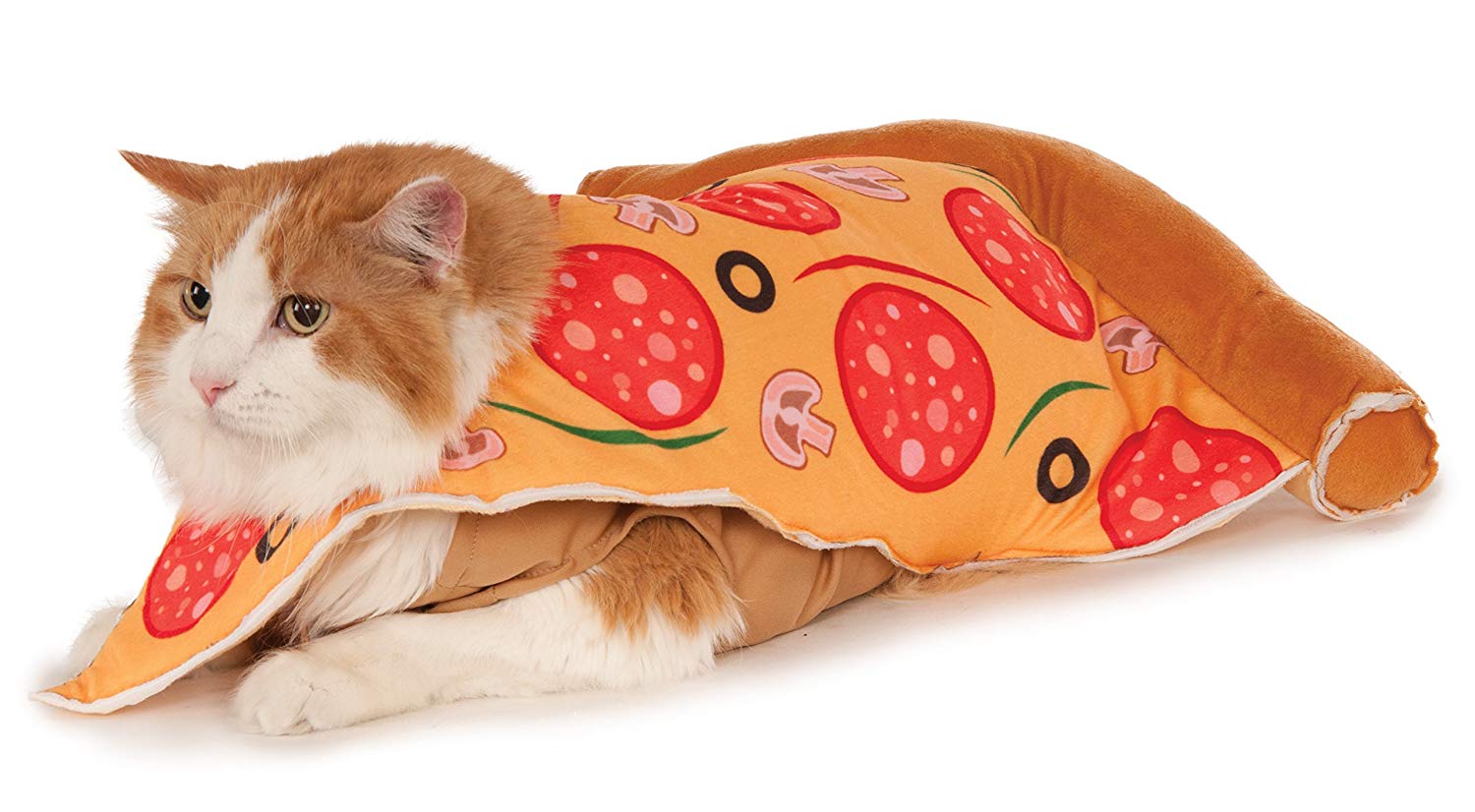 cat halloween costumes