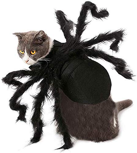 cat halloween costumes