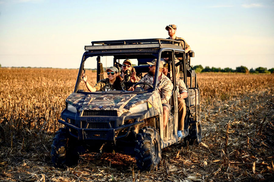 dove hunting