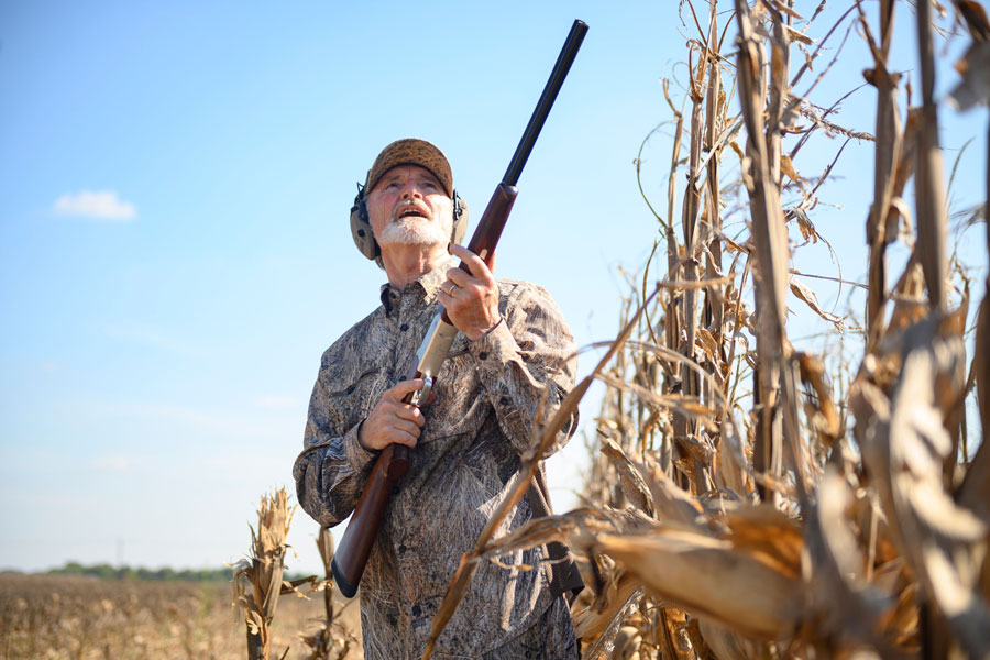 best states for dove hunting