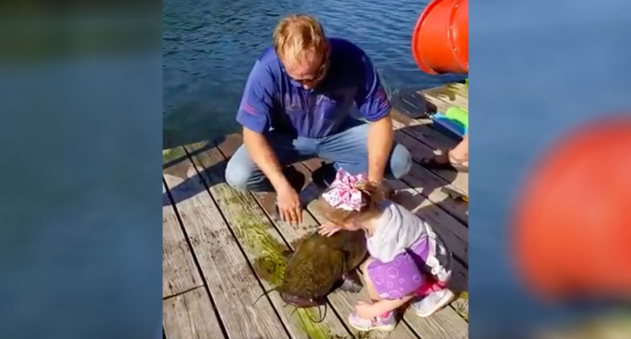 4-Year-Old Girl Catches a Flathead Catfish Bigger Than Her - Wide