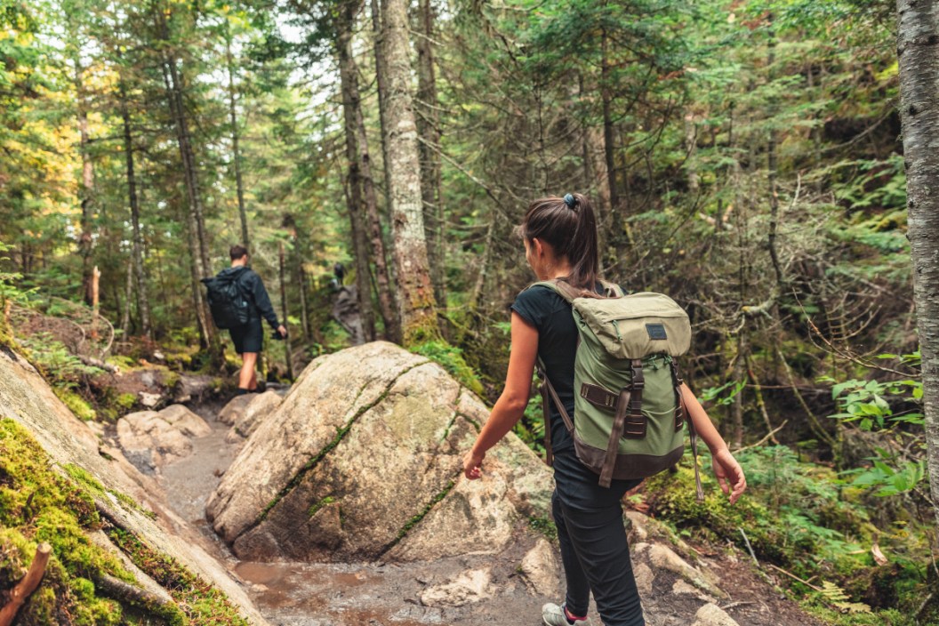 Here Are Our Top 10 Traits of Highly Successful Hunters