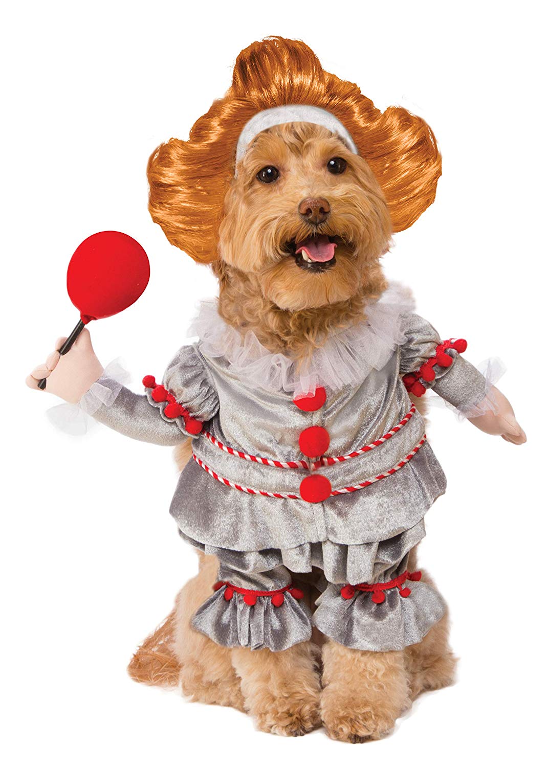 dog halloween costume