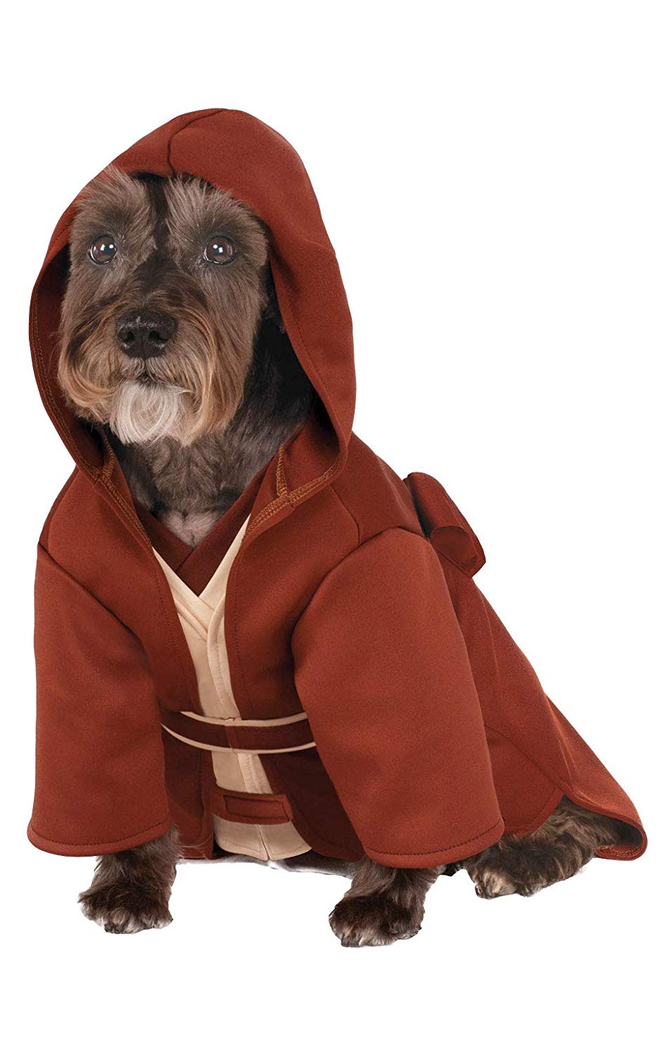 dog halloween costume