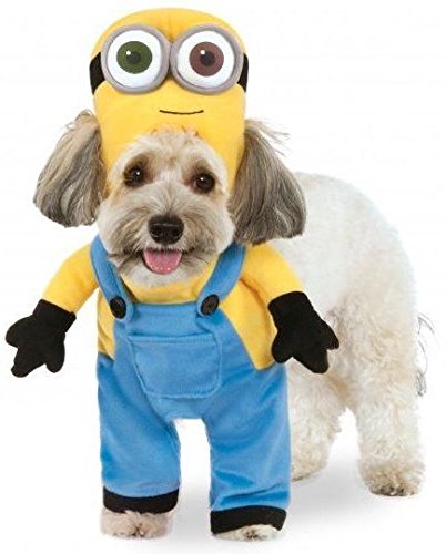 minion