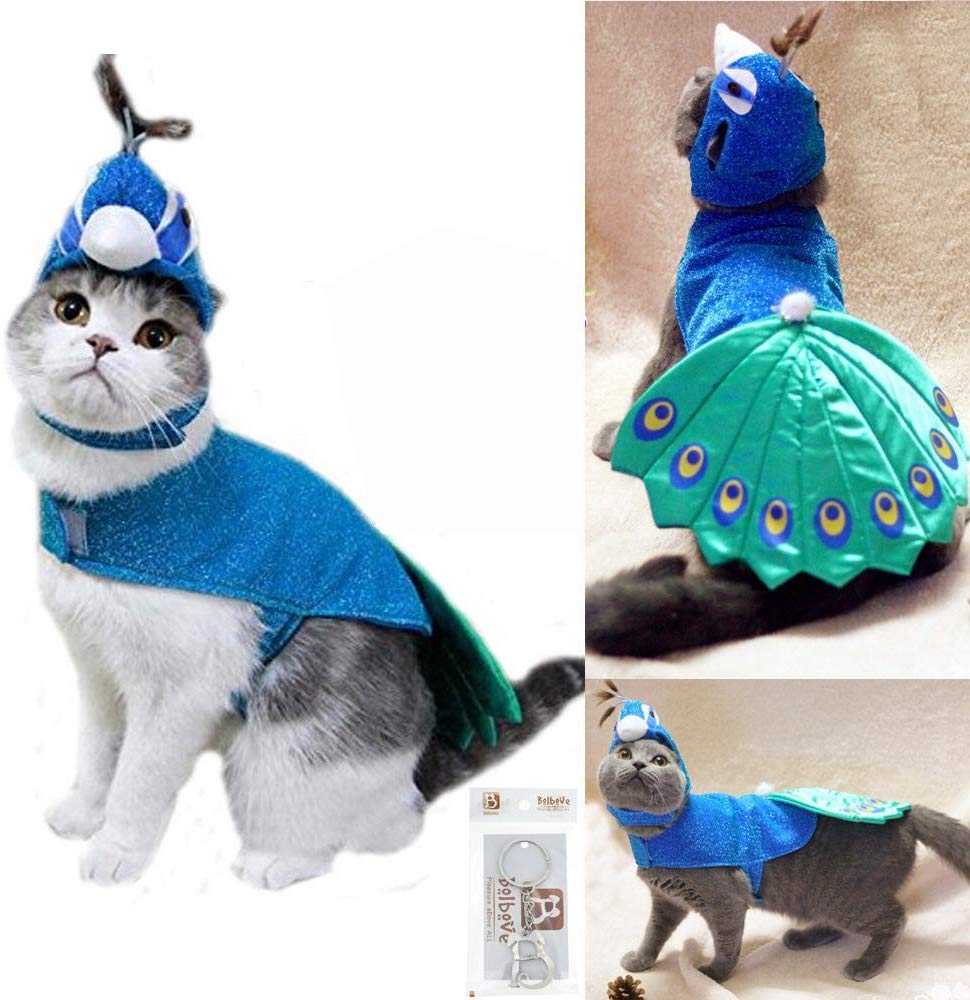 cat halloween costumes