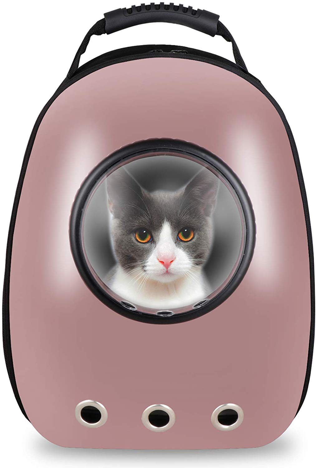 pet cat carrier space