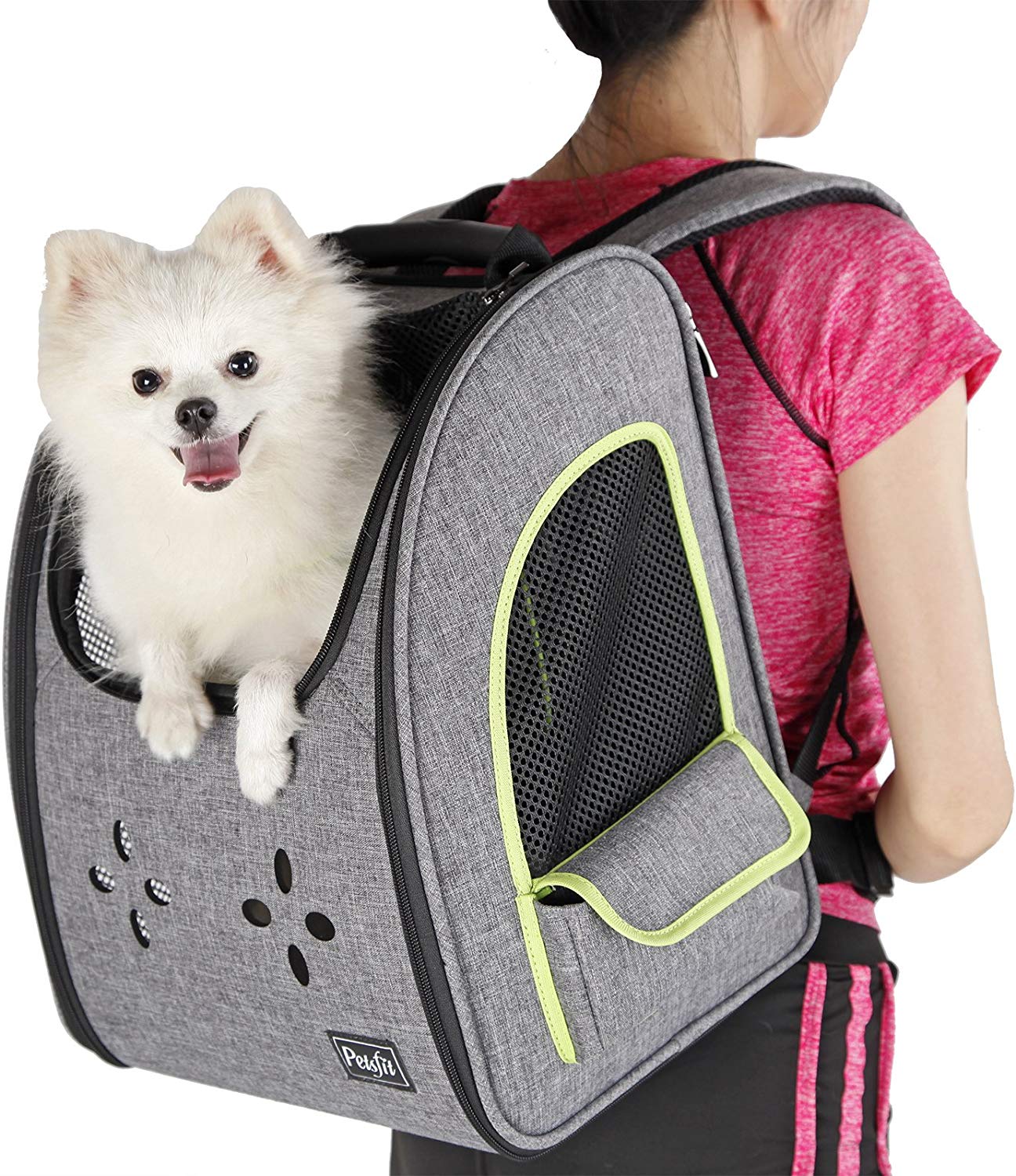 petsfit pet backpack