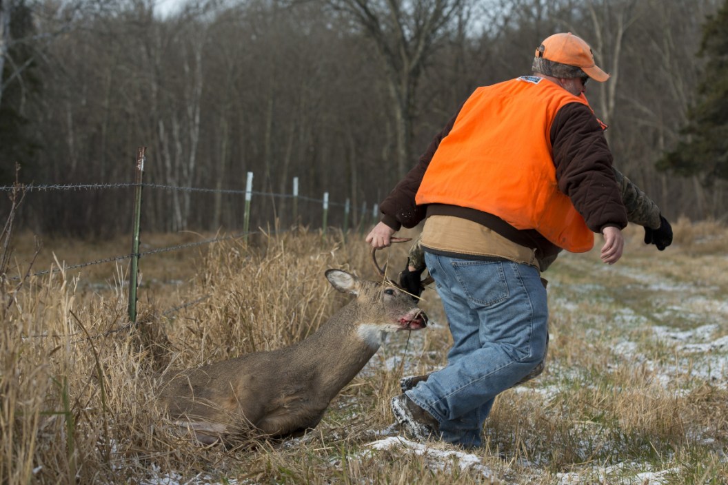 Recovering a Deer