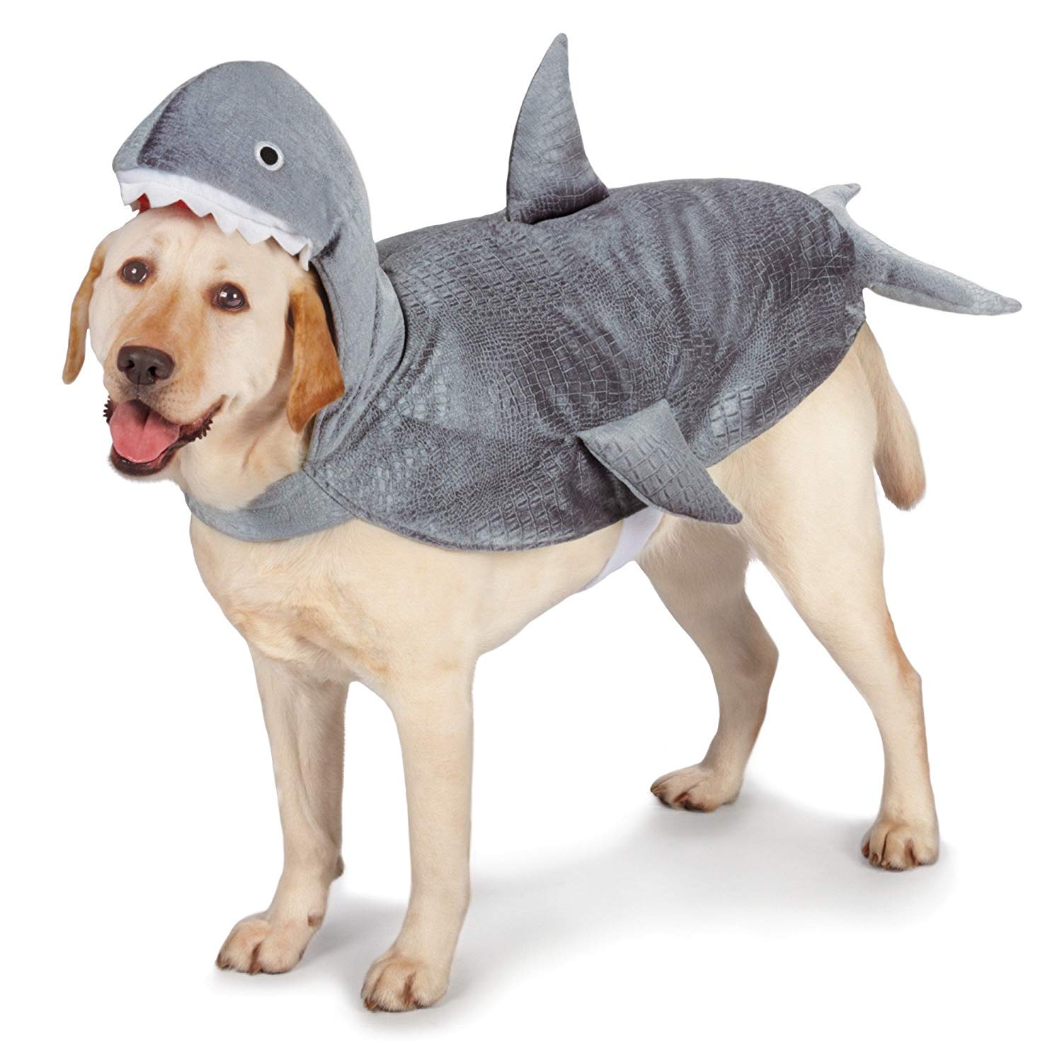 shark costume