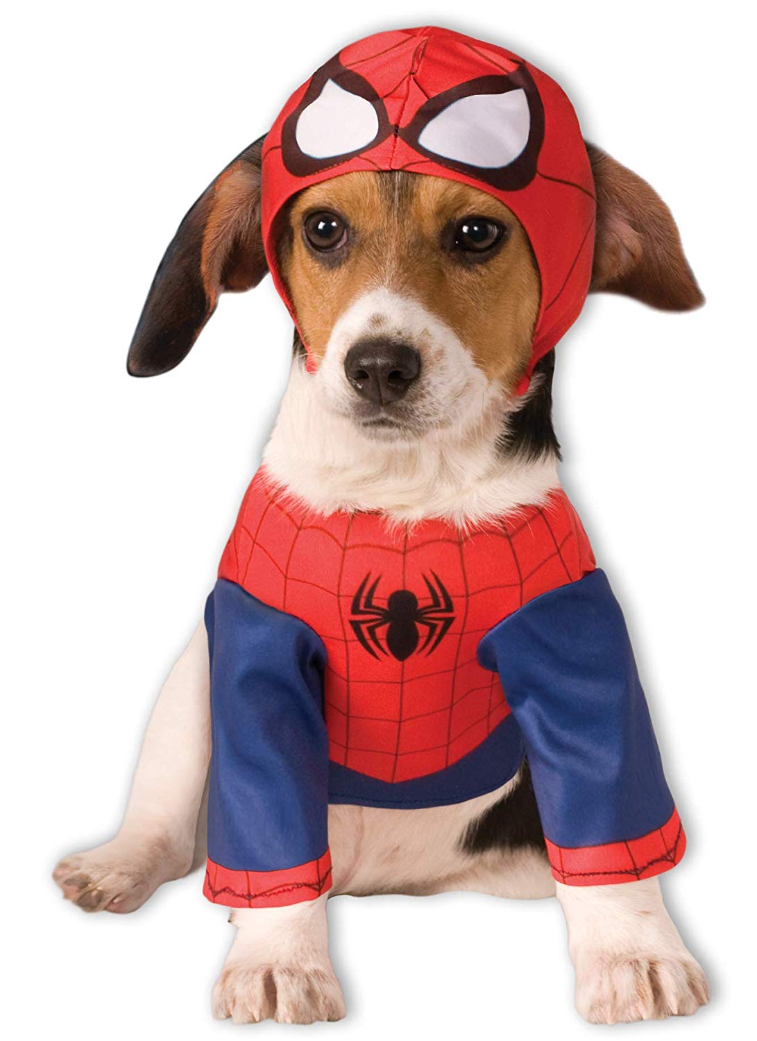 dog halloween costume