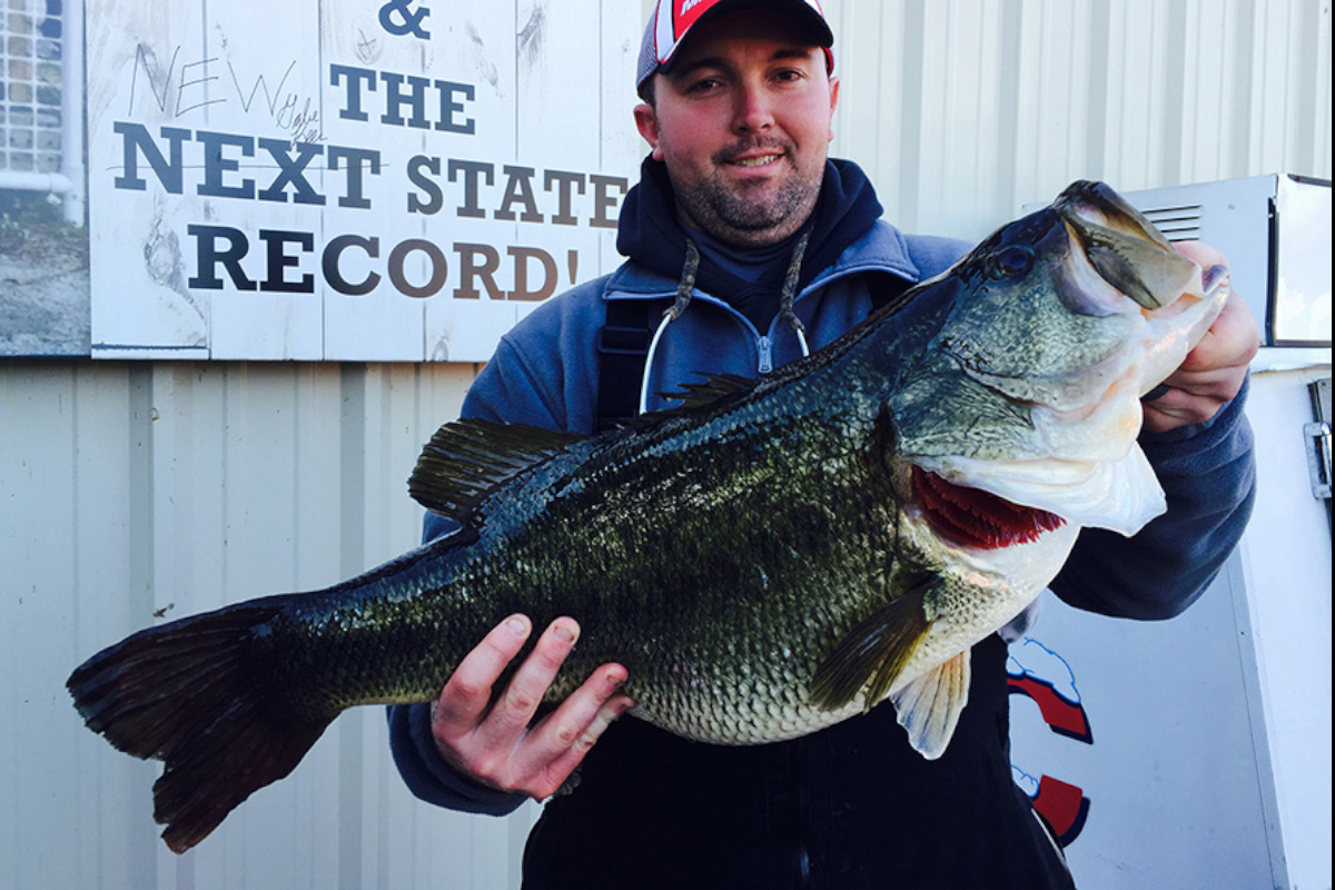 World record spotted bass - Bassmaster