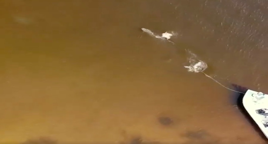 flyfishing for tarpon