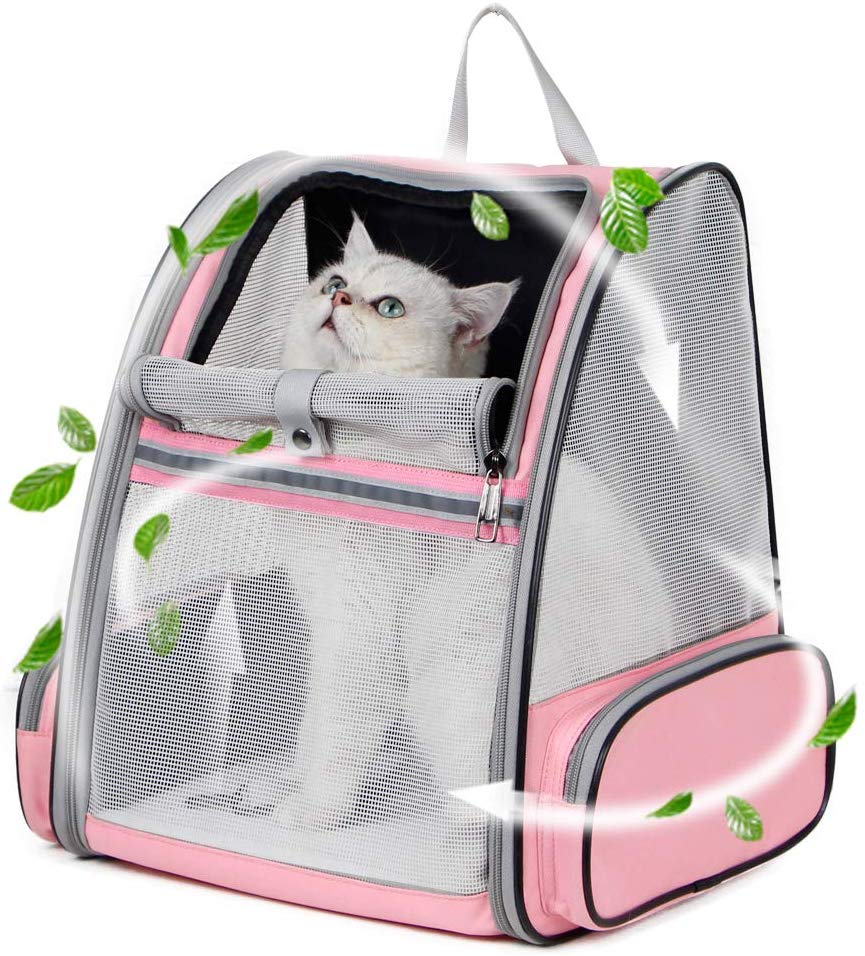 texsens cat backpack