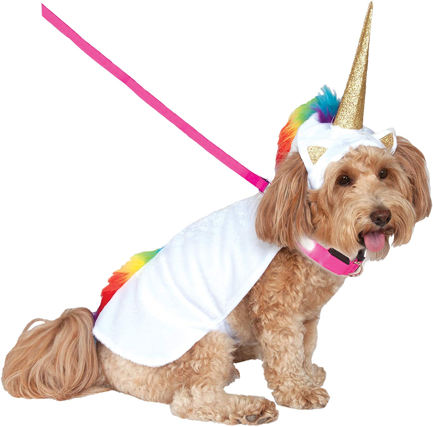 dog halloween costume