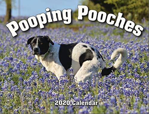 2020 Pooping Pooches White Elephant Gag Gift Calendar