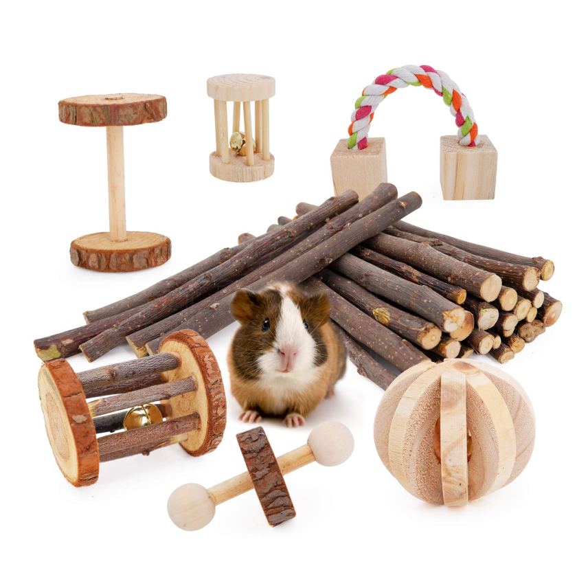 guinea pig toys