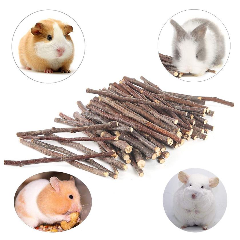 Niteangel Apple Chew Sticks- guinea pig toys