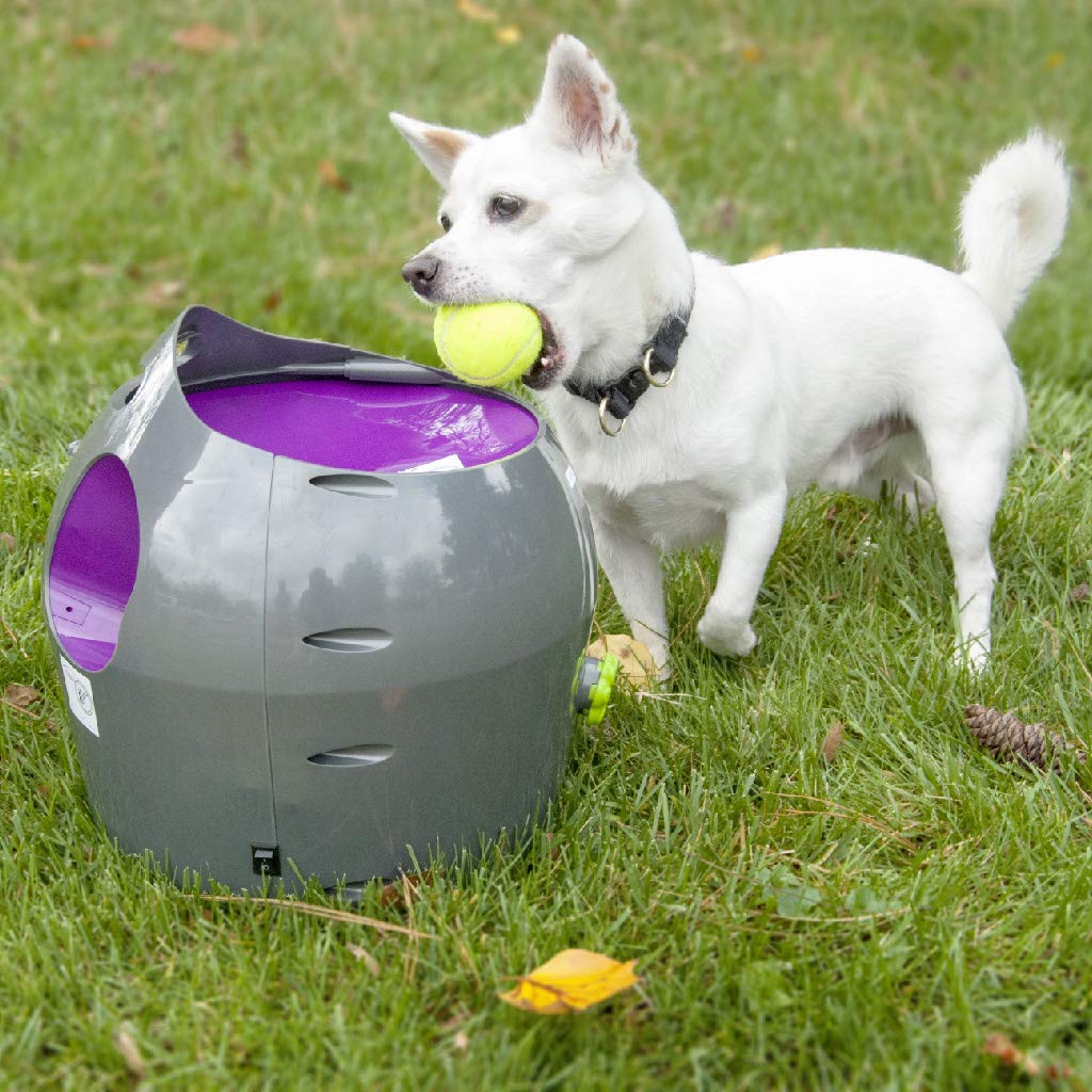 PetSafe Automatic Ball Launcher Dog Toy