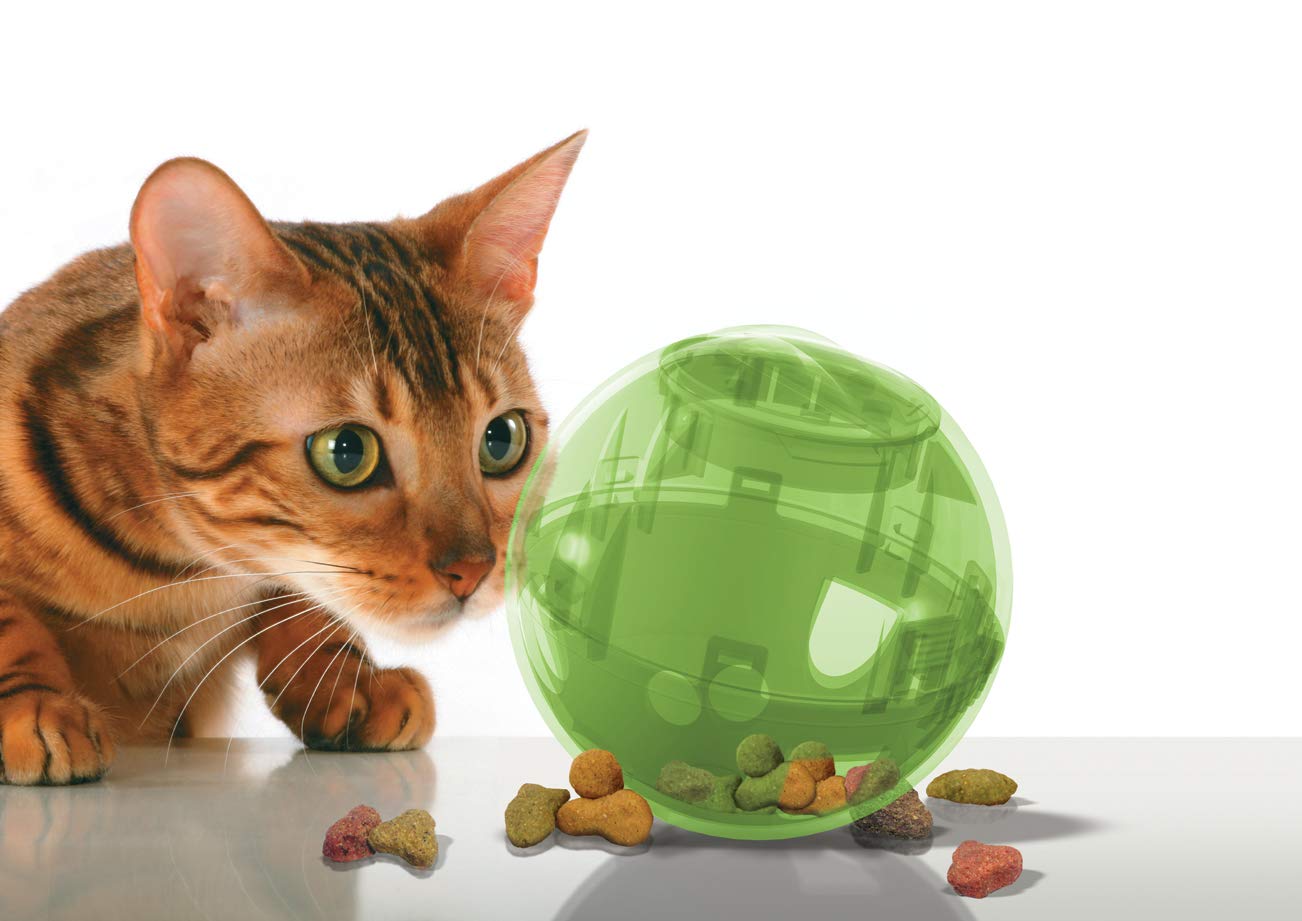 PetSafe slimcat toy