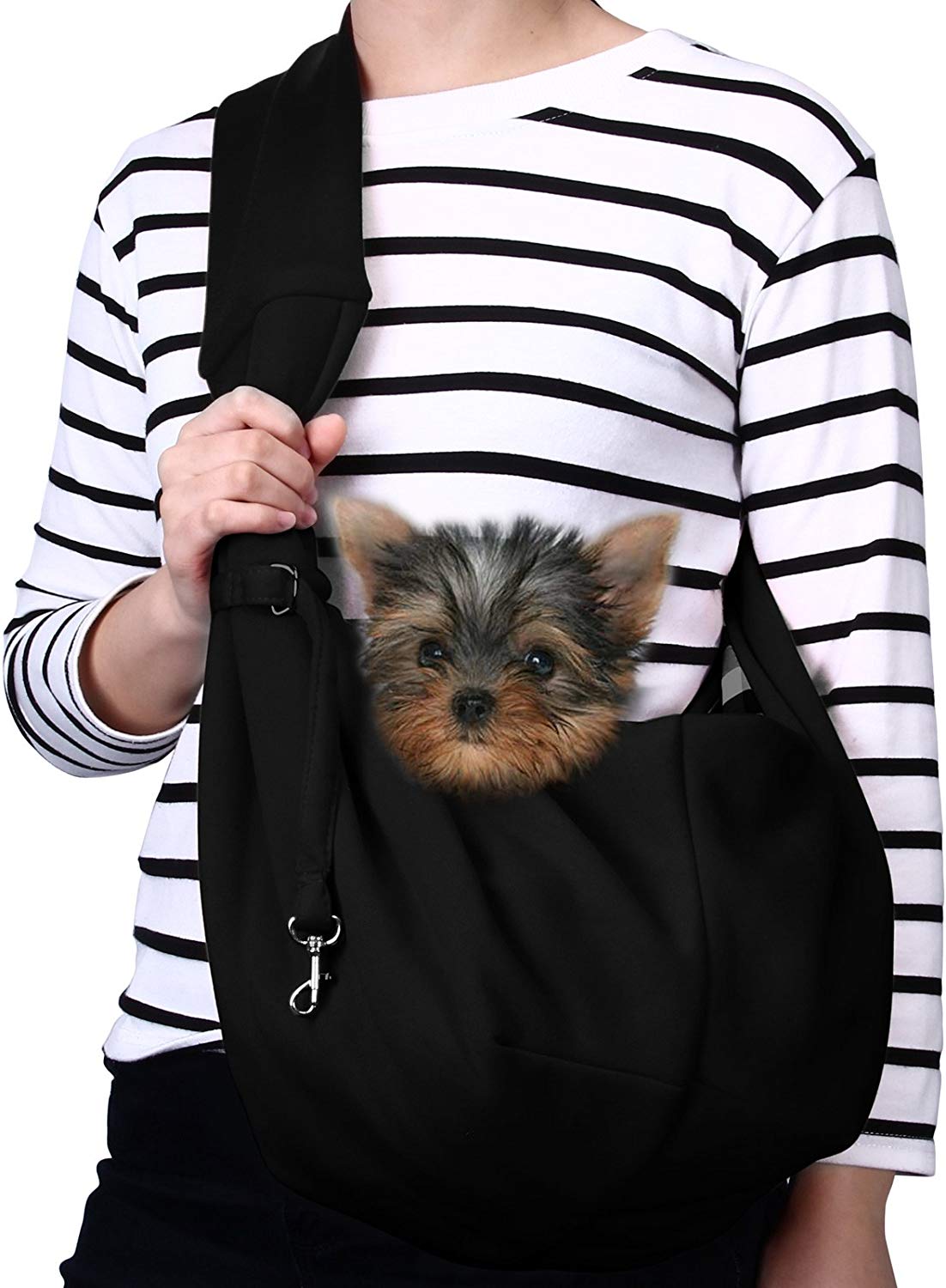 Small Dog Cat Carrier