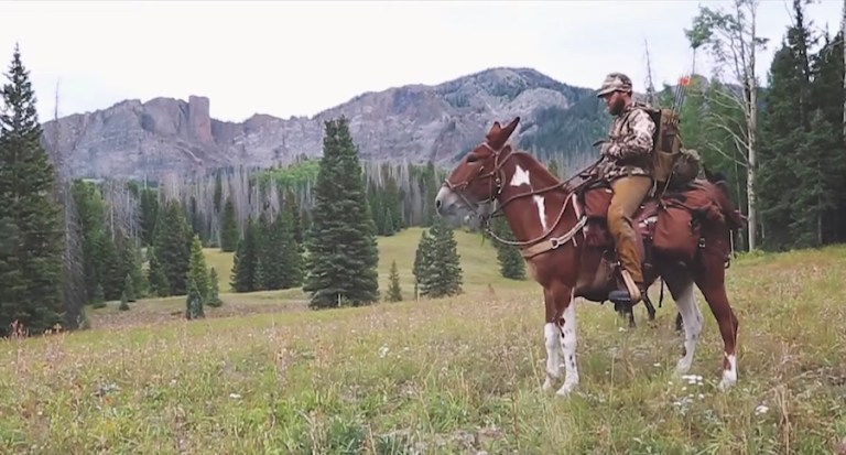 Clay Newcomb Went Bear Hunting With a Mule in Montana, Here's How It
