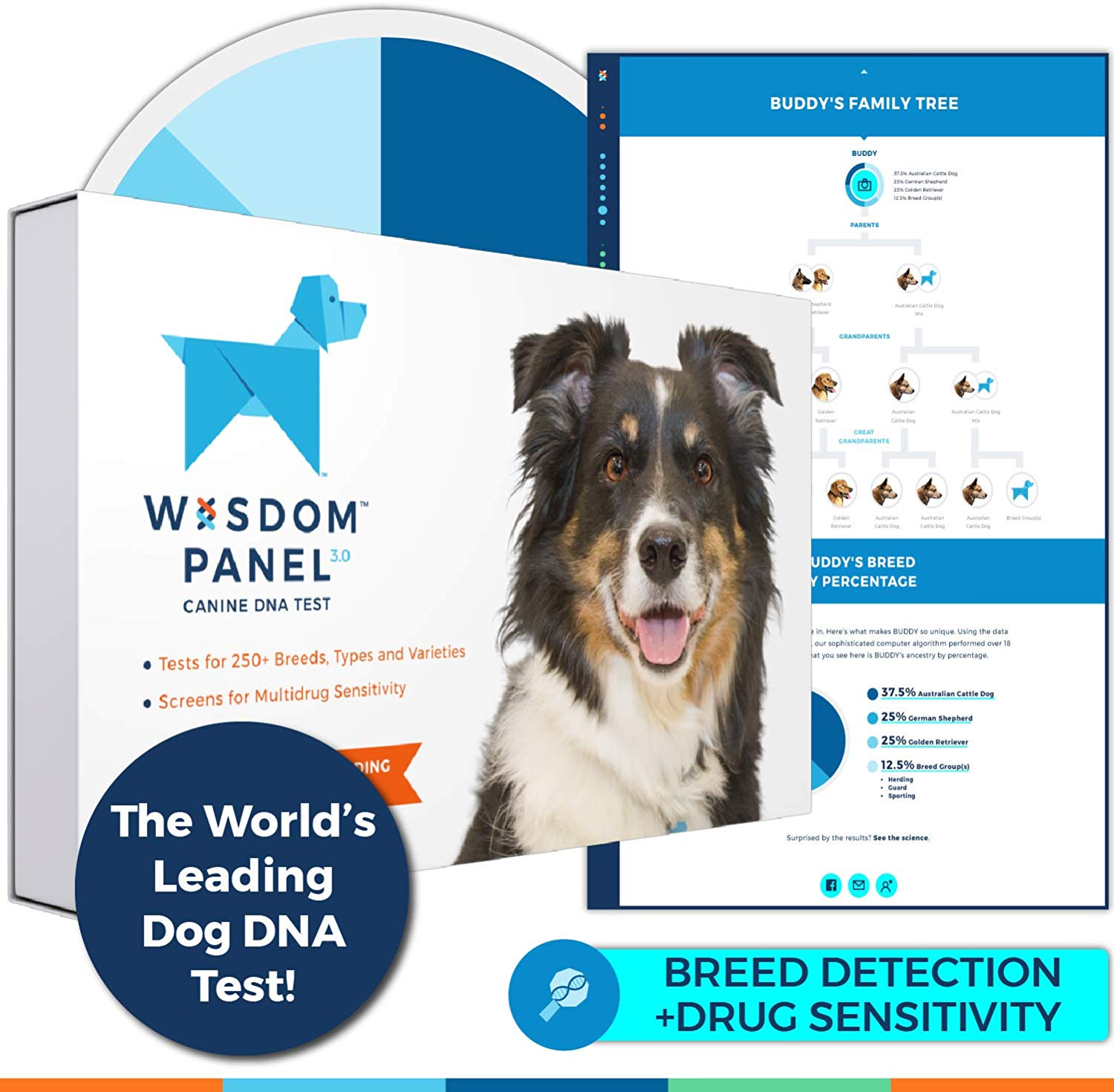 Wisdom Panel 3.0 Canine DNA Test