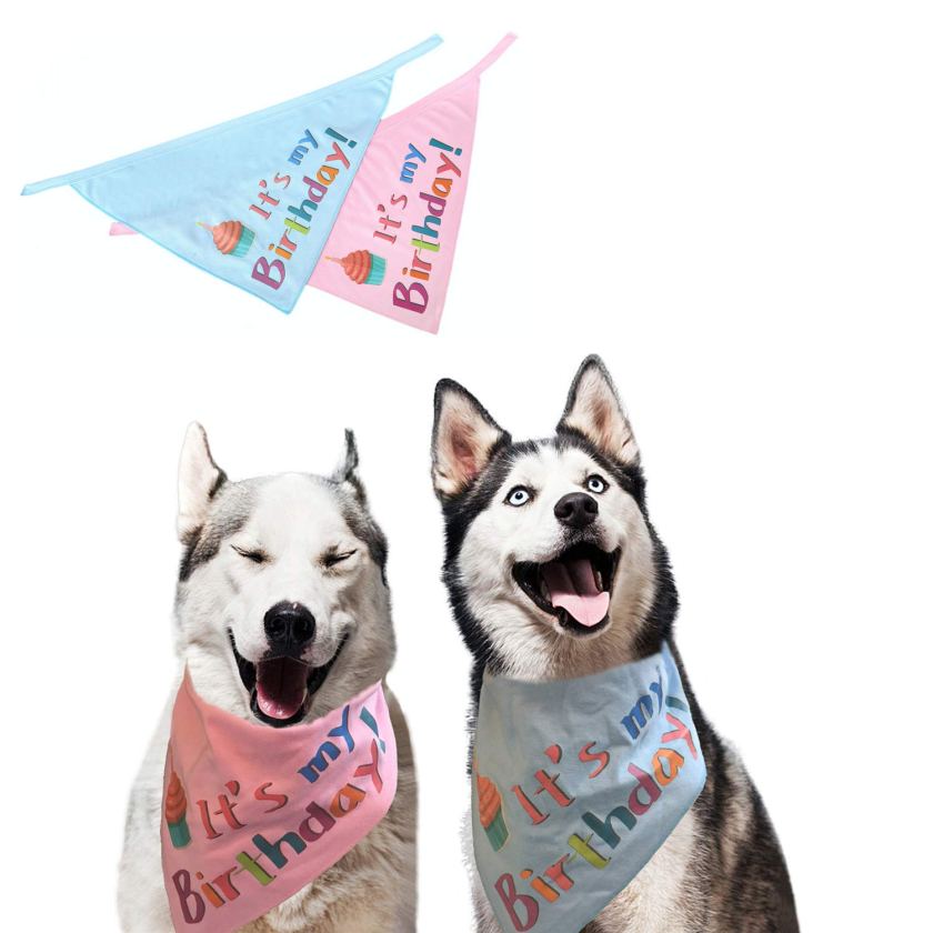 birthday bandana for dog