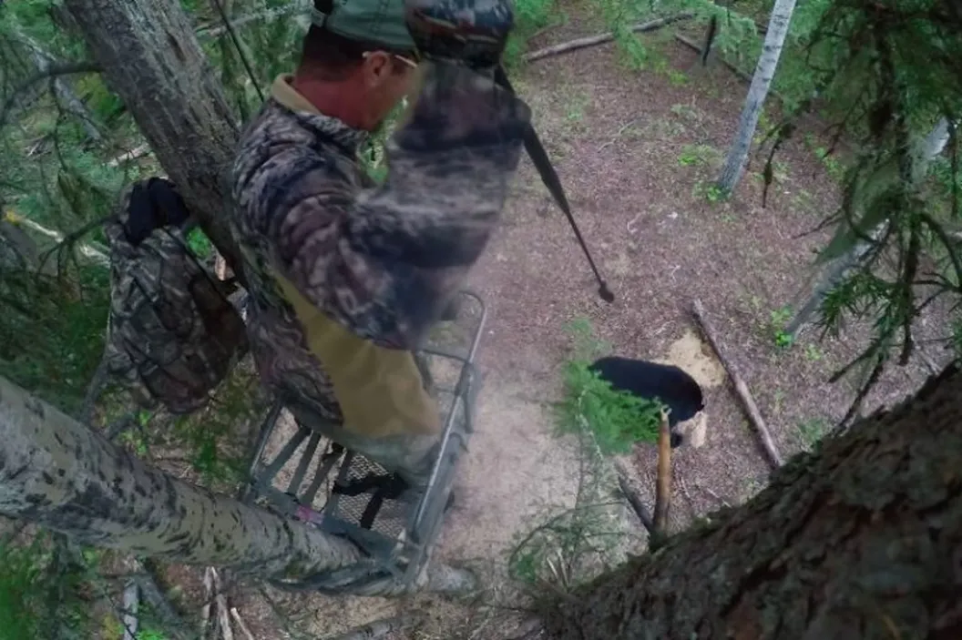 Tim Wells, a Legend with Sticks and String, Lets 'Er Fly in This