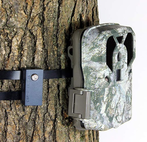 Trail Camera Theft Protection