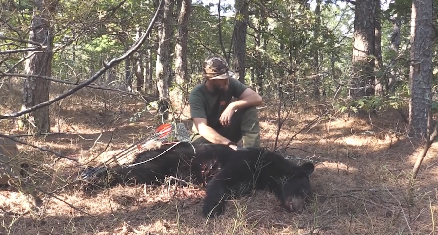 Black Bear Hunting With A Traditional Bow, On Foot, & On Public Land Isn't For the Faint Of Heart