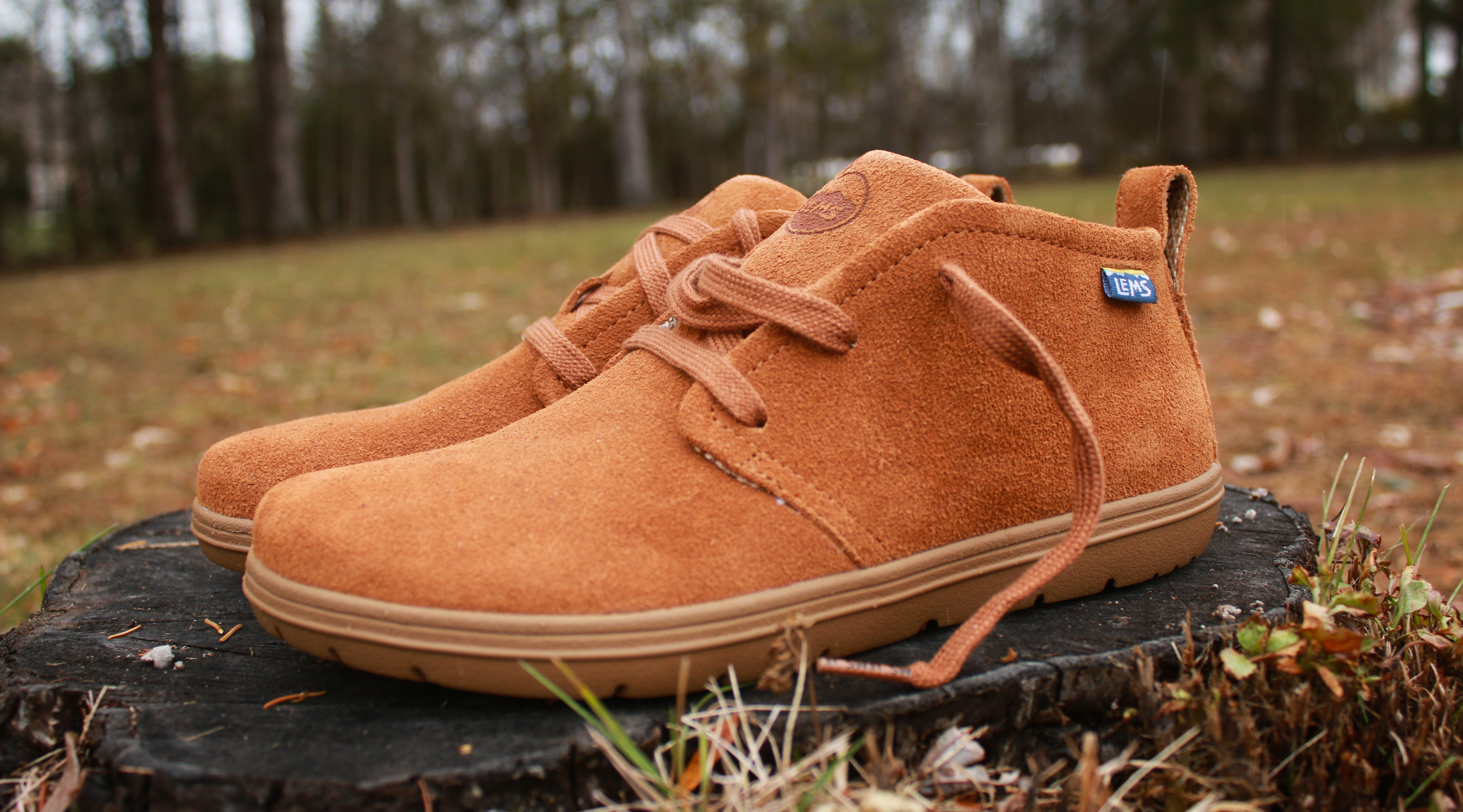 Lems Chukka Shoes