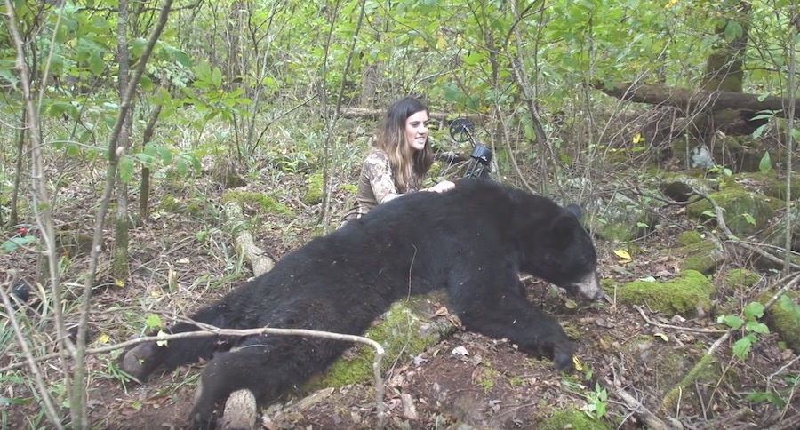 River Newcomb arkansas black bear